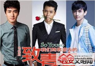 电视剧致青春演员表,青春记忆里的那些面孔