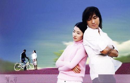 薰衣草 演员表,实力派明星齐聚一堂